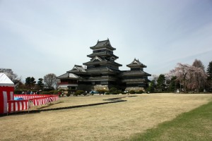 松本城と駒つなぎの桜